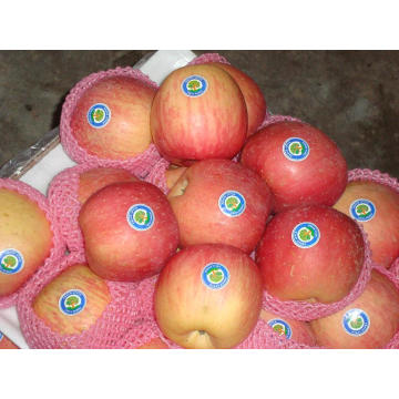 Manzanas frescas dulces de Fiji de China